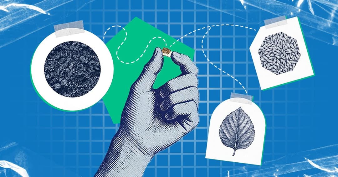 The origins of sampling: How early societies transformed observation into knowledge