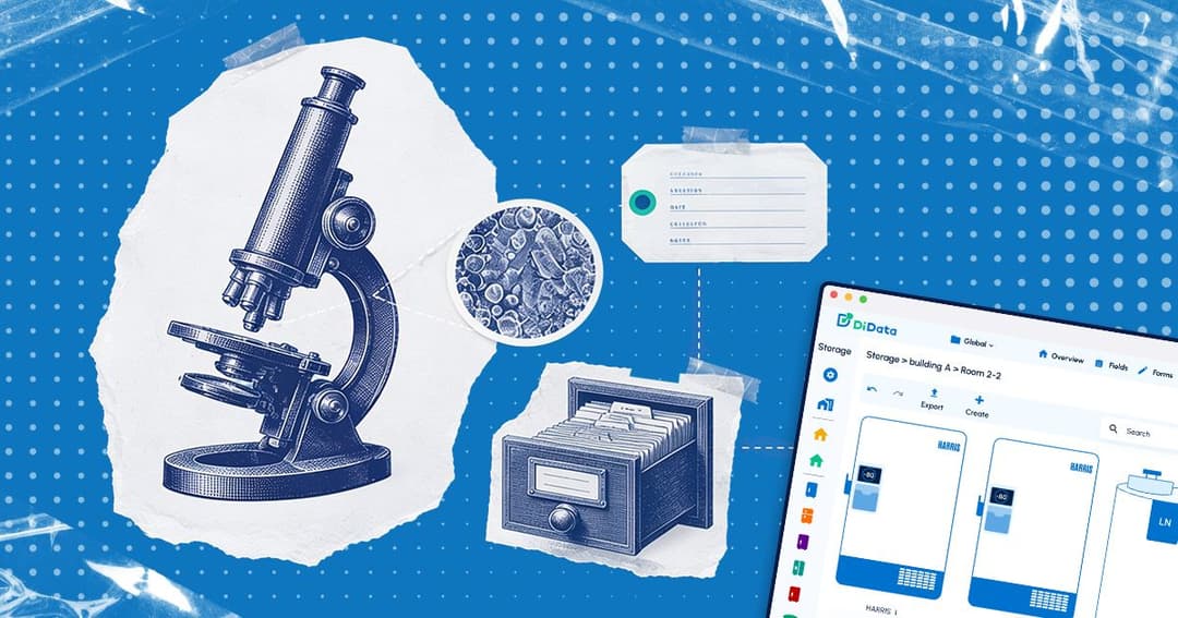 The Emergence of Early Samples: Observing, Understanding, Analyzing